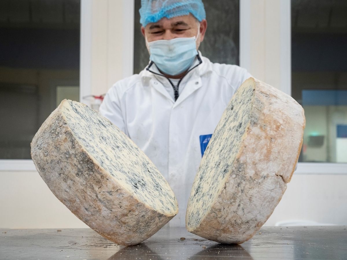 Gorgonzola Dop: produzione stabile nel primo semestre 2026 Gorgonzola Dop: produzione stabile nel primo semestre 2026