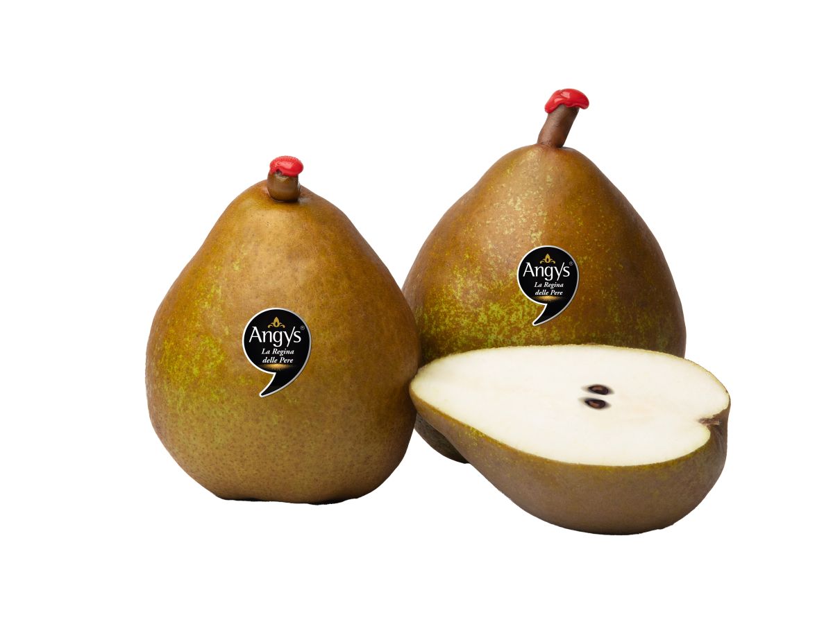 Pera Angys: al via in anticipo la nuova stagione con una campagna digital e in store a supporto Pera Angys: al via in anticipo la nuova stagione con una campagna digital e in store a supporto