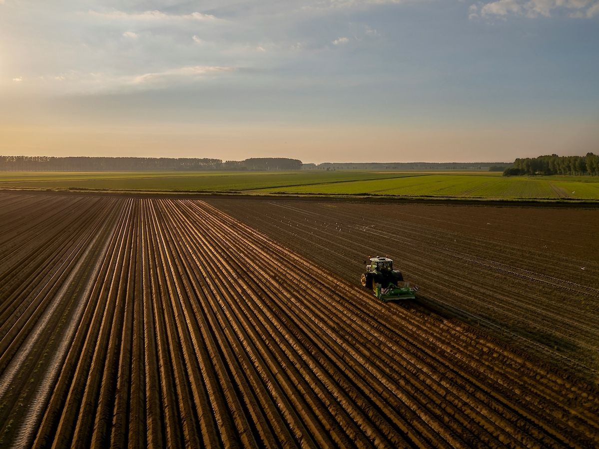Filiere agroindustriali nel 2026: trasparenza geografica ed Esg come leva competitiva Filiere agroindustriali nel 2026: trasparenza geografica ed Esg come leva competitiva