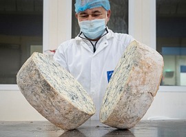 Gorgonzola Dop: produzione stabile nel primo semestre 2026