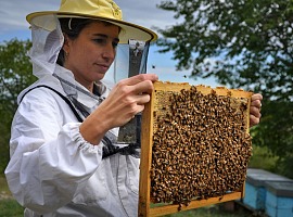 Filiera trasparente: Bruxelles stoppa il Disciplinare miele e avvia un supplemento d'indagine Filiera trasparente: Bruxelles stoppa il Disciplinare miele e avvia un supplemento d'indagine