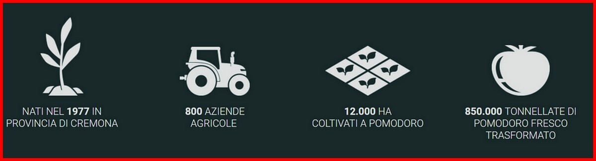 CASALASCO INNOVATION CENTER STRUTTURA