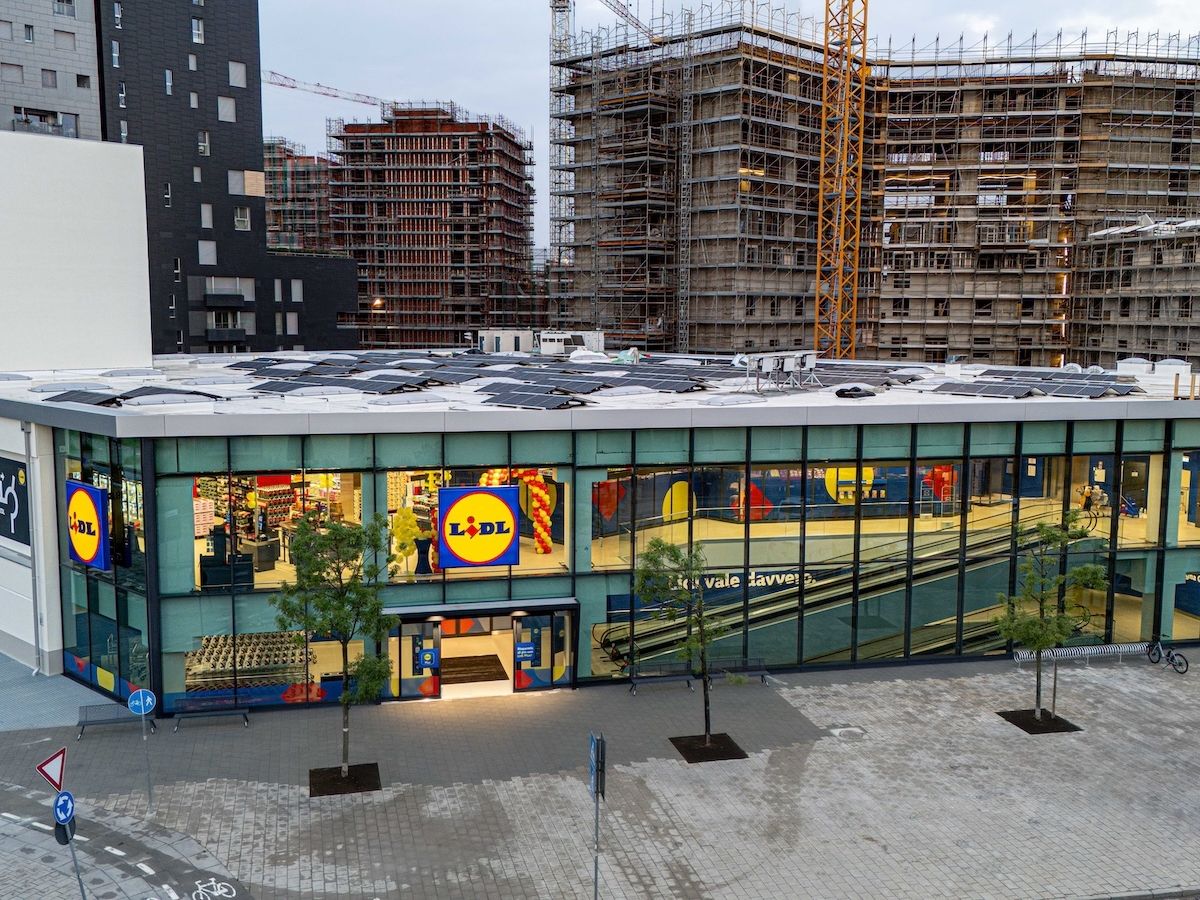 Lidl apre l'ottavo punto vendita a Bologna: assunti 26 collaboratori Lidl apre l'ottavo punto vendita a Bologna: assunti 26 collaboratori