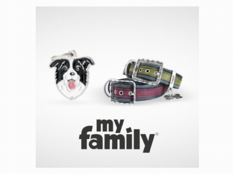 quality-award-2020-la-qualita-premiata-dai-consumatori-italiani