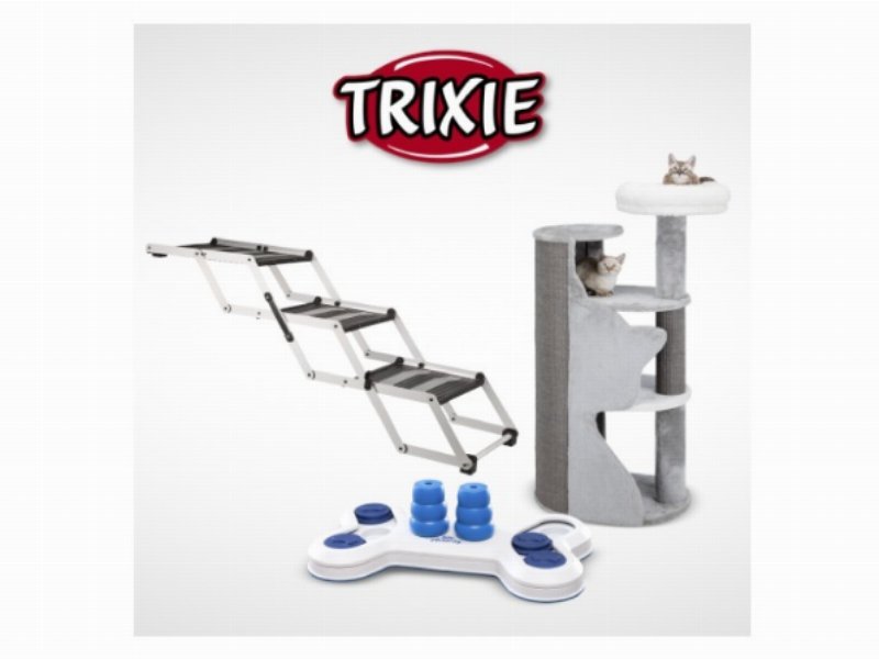 quality-award-2020-la-qualita-premiata-dai-consumatori-italiani