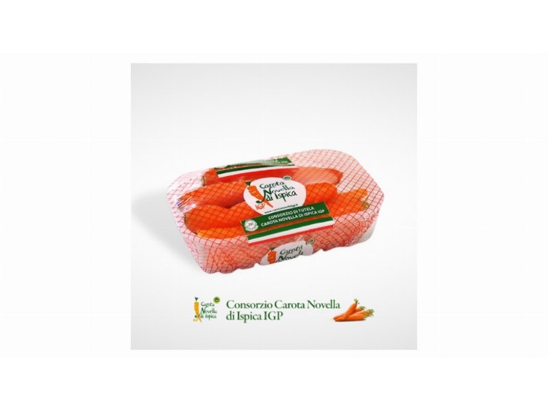 quality-award-2020-la-qualita-premiata-dai-consumatori-italiani