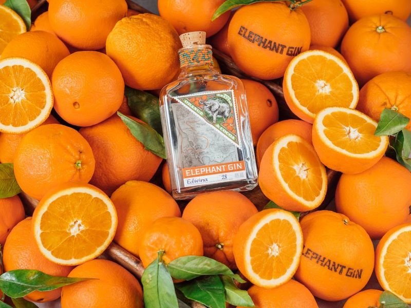Elephant Gin ottiene la certificazione B Corp Elephant Gin ottiene la certificazione B Corp