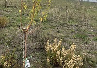 Frosta celebra un anno di paper bag e continua la sua missione green con Legambiente