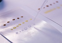 Footprint e Qwarzo: accordo per accelerare lo sviluppo di soluzioni per bicchieri privi di Pe