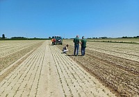 Innova.Orto: al via il progetto triennale per rendere l’orticoltura emiliana più sostenibile