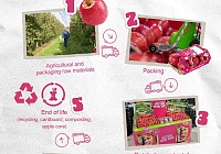 Pink Lady Europe presenta i risultati della valutazione Lca della propria filiera
