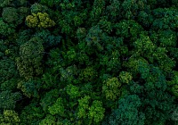 Sanpellegrino: campagna per la messa a dimora degli alberi dei “Laghi di bosco limite”