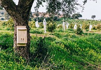 Despar rafforza l’impegno per la biodiversità con nuovi rifugi per le api selvatiche in Italia