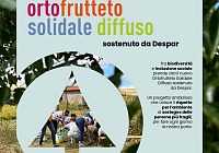 Despar porta in sette territori italiani nuovi spazi di agricoltura solidale Despar porta in sette territori italiani nuovi spazi di agricoltura solidale