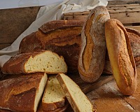Nella Giornata Mondiale del Pane Oropan apre le porte dello stabilimento di Altamura Nella Giornata Mondiale del Pane Oropan apre le porte dello stabilimento di Altamura