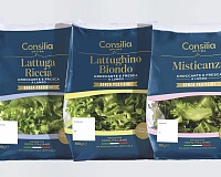 Consilia avvia la partnership con SmartFood Ieo e lancia le insalate da agricoltura verticale