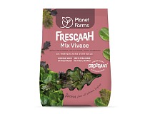 Planet Farms rinnova Mix Vivace con una nuova ricetta con protagonista la foglia di Mizuna Planet Farms rinnova Mix Vivace con una nuova ricetta con protagonista la foglia di Mizuna