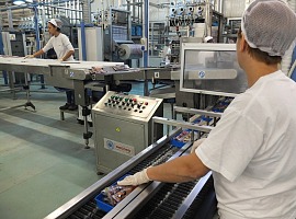 Dolfin investe 20 milioni di euro sull Dolfin investe 20 milioni di euro sull