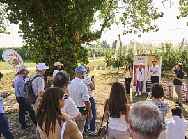 Metis: nuovo packaging, identità visiva e produzione in crescita