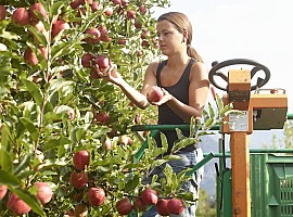 La Trentina: nel bilancio di previsione atteso il miglior risultato di sempre