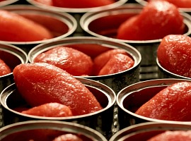 Pomodoro da industria: raggiunta l‘intesa per la campagna 2026 nel Bacino Centro Sud