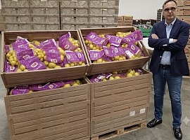 Limoni: Dole Italia guida l’evoluzione del mercato