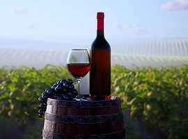 Compagnia del Gusto si beve Cantine Romagnoli, dopo l’acquisto di Krumiri Rossi Compagnia del Gusto si beve Cantine Romagnoli, dopo l’acquisto di Krumiri Rossi
