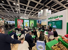 Gruppo Alegra: solida crescita nel 2025 e nuovi progetti strategici per il 2026