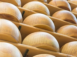 Dalterfood Group consolida la crescita nei mercati europei