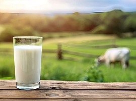 Centrale del Latte d’Italia: fatturato di 156,1 milioni di euro nel primo semestre 2026 Centrale del Latte d’Italia: fatturato di 156,1 milioni di euro nel primo semestre 2026