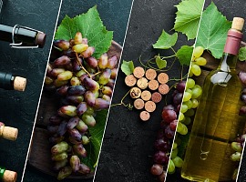 Mediobanca: scendono i fatturati del vino. Ripresa nel 2026