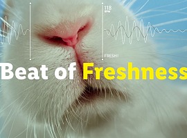 Lidl con la campagna social “The beat of freshness” conferma la freschezza di frutta e verdura