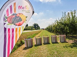 Metis: una nuova immagine per rafforzare visibilità, riconoscibilità e valore in tutta Europa Metis: una nuova immagine per rafforzare visibilità, riconoscibilità e valore in tutta Europa