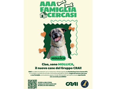 Crai insieme a Fondazione Cave Canem Ets per sostenere i cani in cerca di famiglia Crai insieme a Fondazione Cave Canem Ets per sostenere i cani in cerca di famiglia