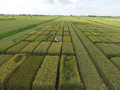 Molino Rachello è il secondo molino in Europa a ottenere ufficialmente la certificazione B Corp Molino Rachello è il secondo molino in Europa a ottenere ufficialmente la certificazione B Corp