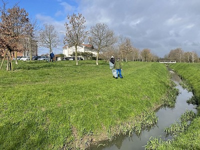 Molino Rachello rinnova l’impegno a favore della sostenibilità ambientale Molino Rachello rinnova l’impegno a favore della sostenibilità ambientale