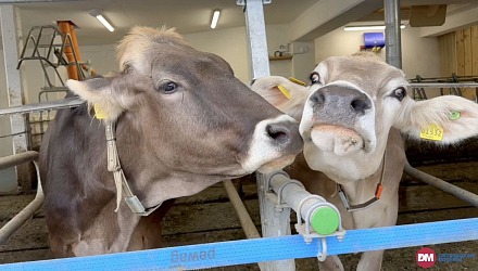 Video: Brimi evolve il brand e lancia un nuovo claim Video: Brimi evolve il brand e lancia un nuovo claim